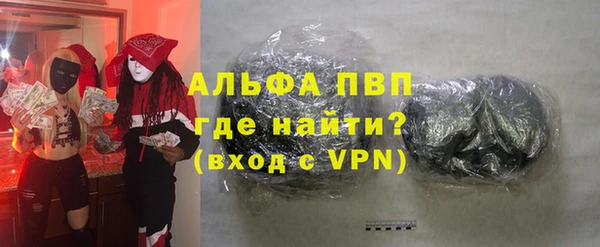 спиды Бородино