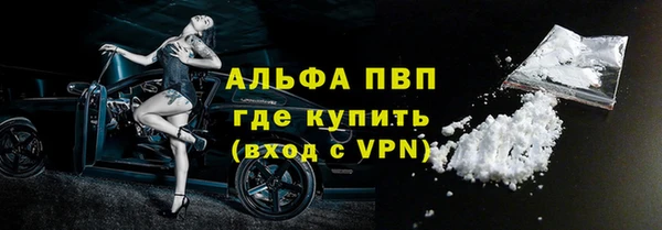 спиды Бородино