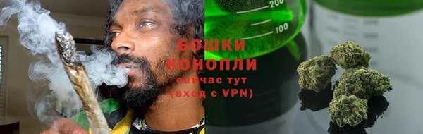 спиды Бородино
