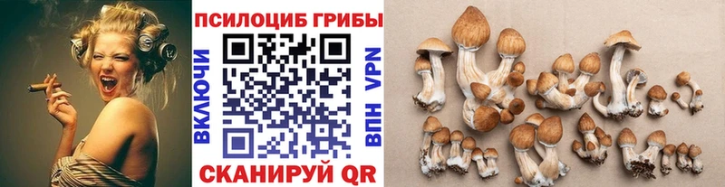 Псилоцибиновые грибы Magic Shrooms  Клин 